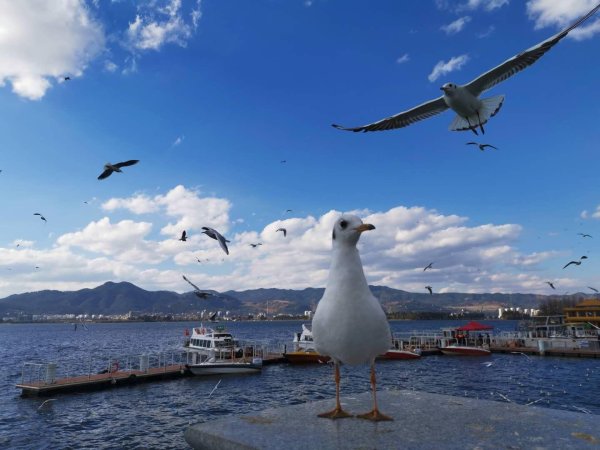 大牛股票配资网站 浙江去年常住人口增加50万  这些省份2023年人口数据公布