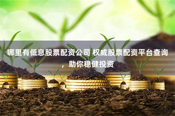哪里有低息股票配资公司 权威股票配资平台查询，助你稳健投资